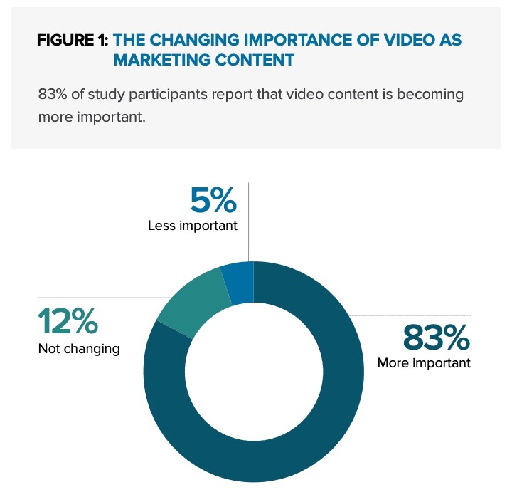 Video marketing figures