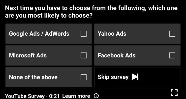 example of a YouTube survey