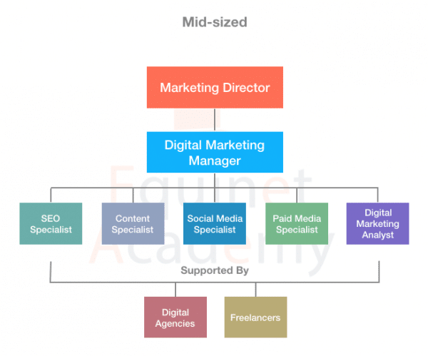 Digital marketing team structure 